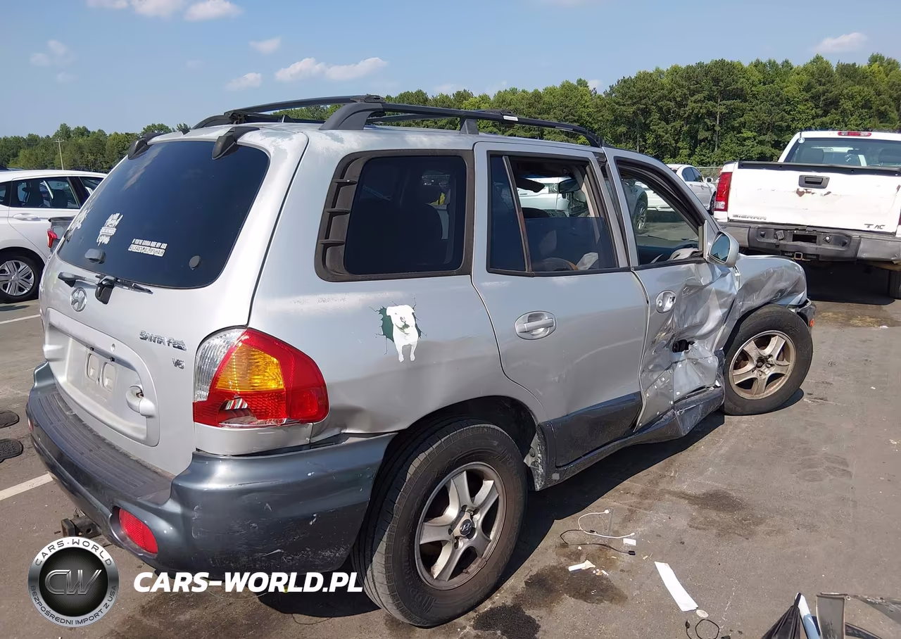 2004 Hyundai Santa Fe Gls VIN:KM8SC13D54U817172 - 4