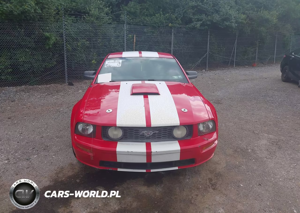 2007 Ford Mustang Gt Deluxe-Gt Premium VIN:1ZVFT82H775233516 - 12