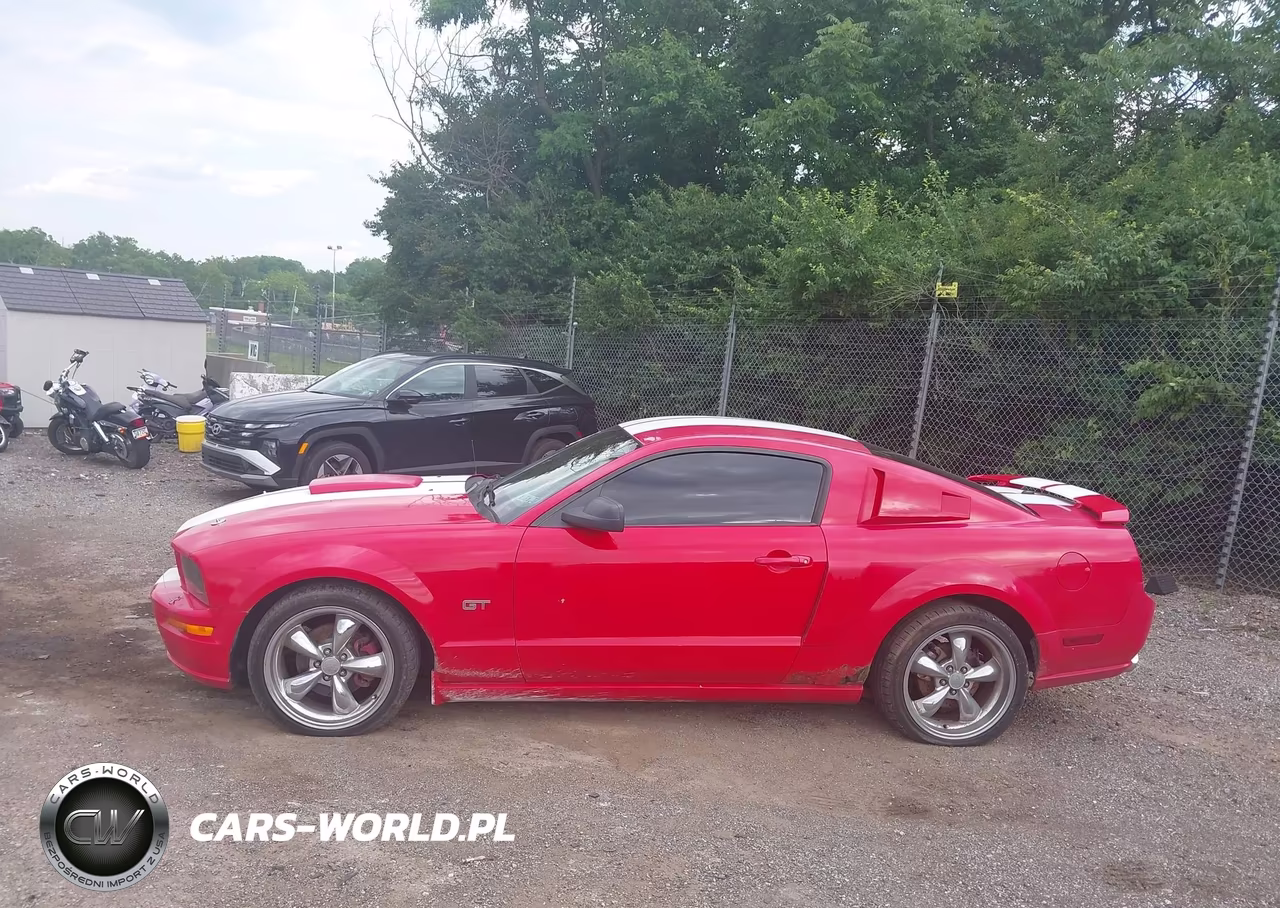 2007 Ford Mustang Gt Deluxe-Gt Premium VIN:1ZVFT82H775233516 - 14