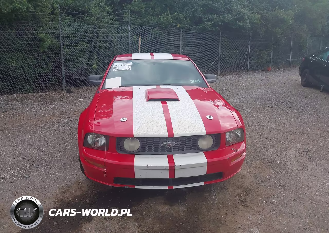 2007 Ford Mustang Gt Deluxe-Gt Premium VIN:1ZVFT82H775233516 - 6