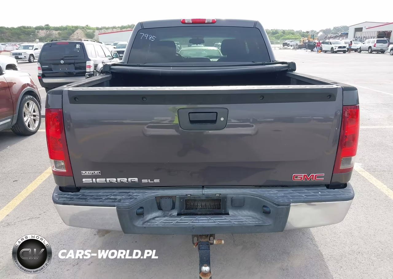 2010 GMC Sierra 1500 Sle VIN:3GTRCVE01AG237985 - 16