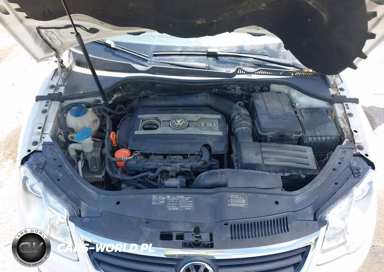 2009 Volkswagen Eos Lux VIN:WVWFA71F29V013206 - 10