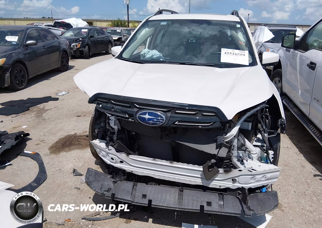 2023 Subaru Forester Premium VIN:JF2SKAEC4PH464899 - 13