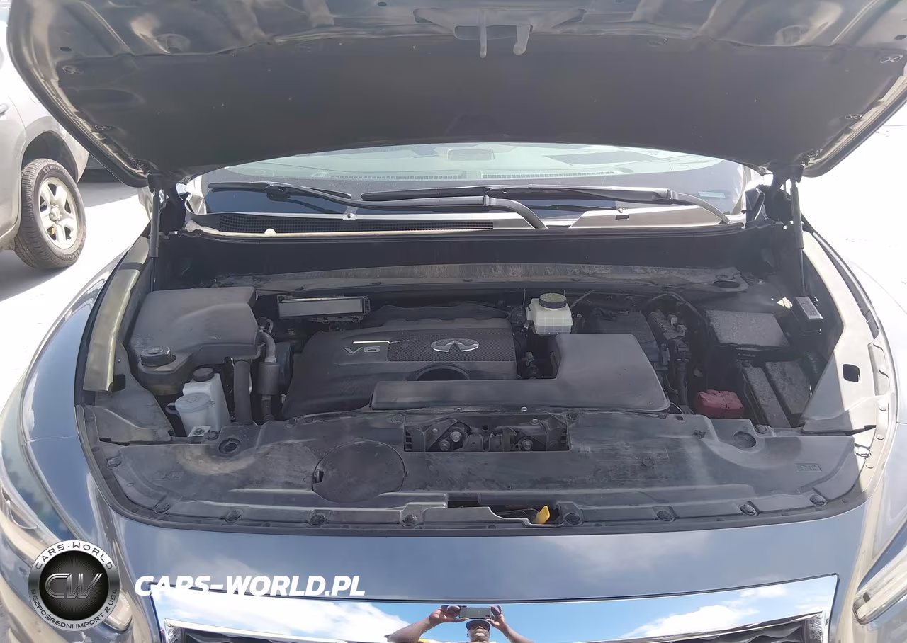 2018 Infiniti Qx60 VIN:5N1DL0MN5JC531026 - 10
