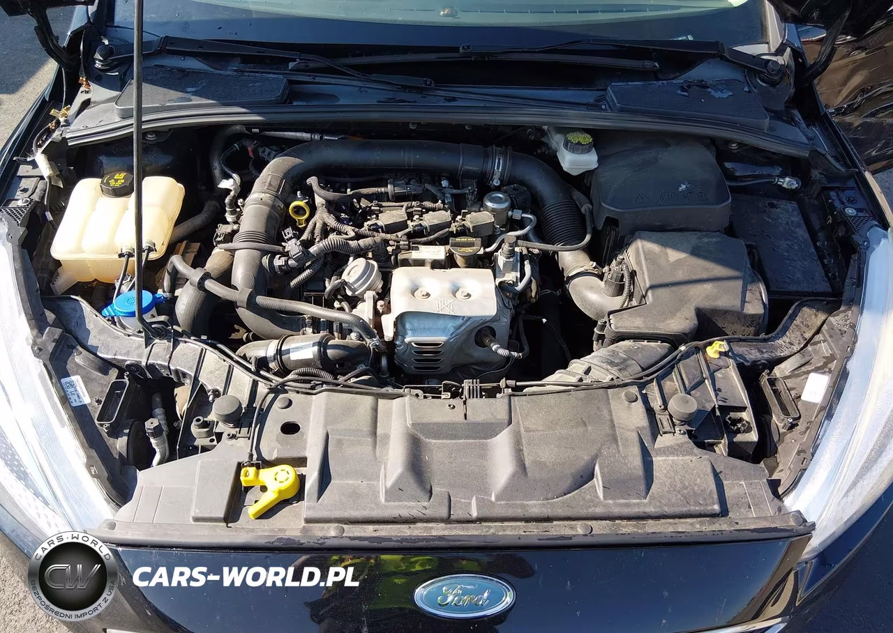 2017 Ford Focus Se VIN:1FADP3FE7HL244763 - 10