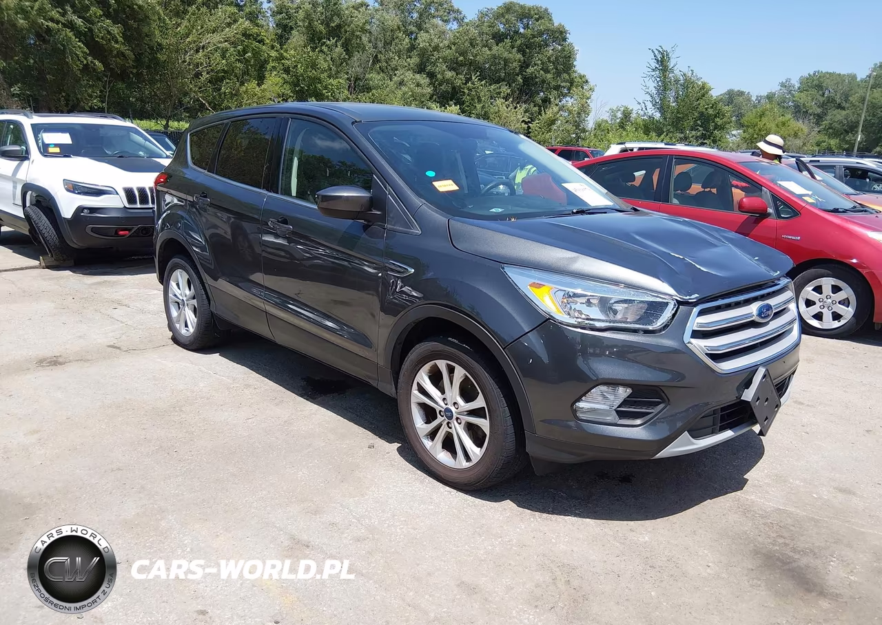 2019 Ford Escape Se
