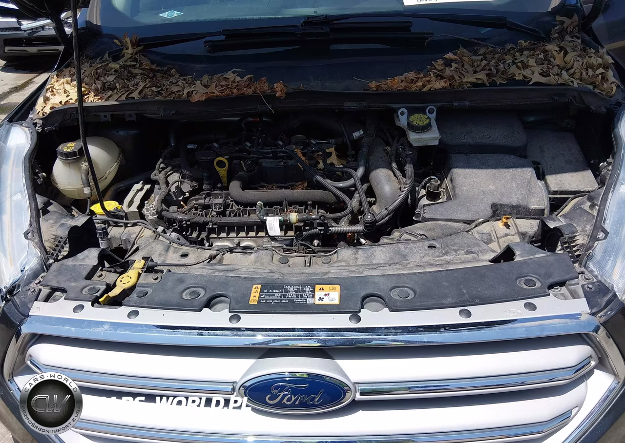 2019 Ford Escape Se VIN:1FMCU9GDXKUA85984 - 10