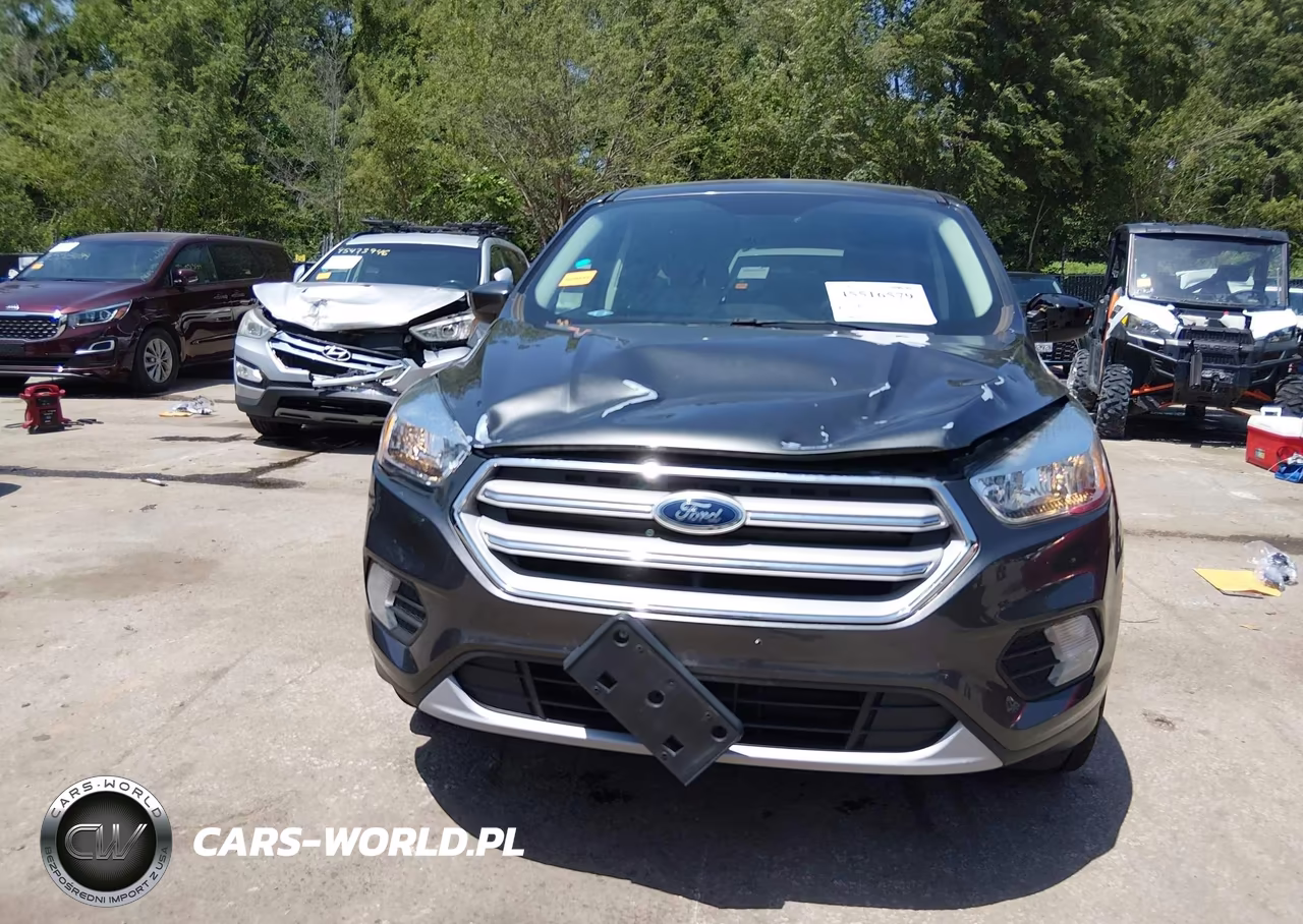 2019 Ford Escape Se VIN:1FMCU9GDXKUA85984 - 12