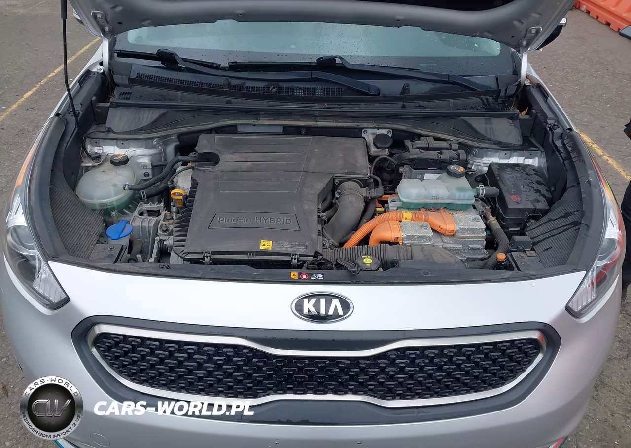 2019 Kia Niro Plug-In Hybrid Ex VIN:KNDCD3LD6K5315778 - 10