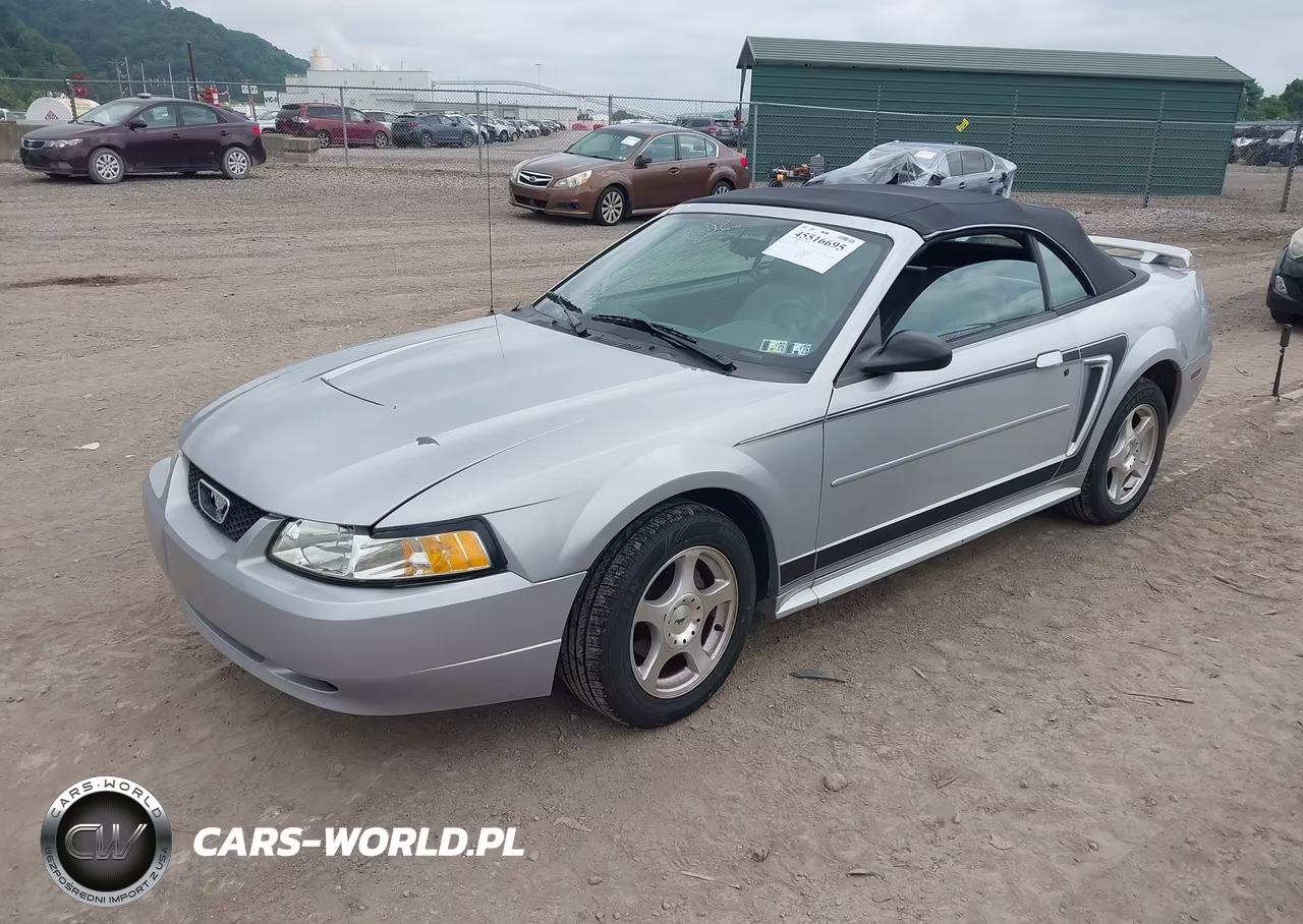 2003 Ford Mustang VIN:1FAFP44423F395882 - 2