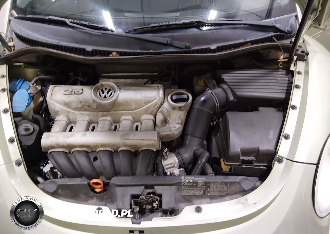 2008 Volkswagen New Beetle S VIN:3VWPG31C38M524205 - 10