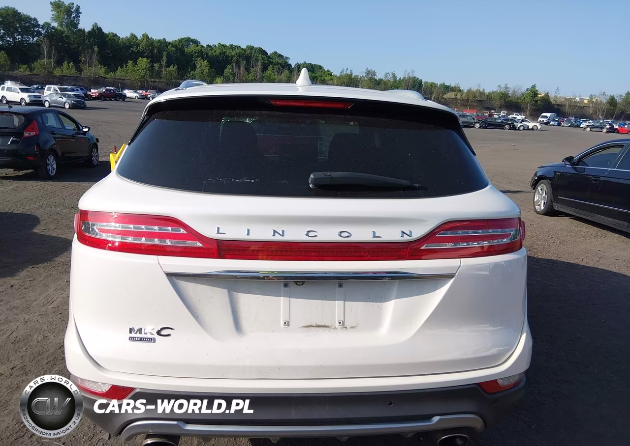 2019 Lincoln Mkc Black Label VIN:5LMCJ4D91KUL16375 - 16