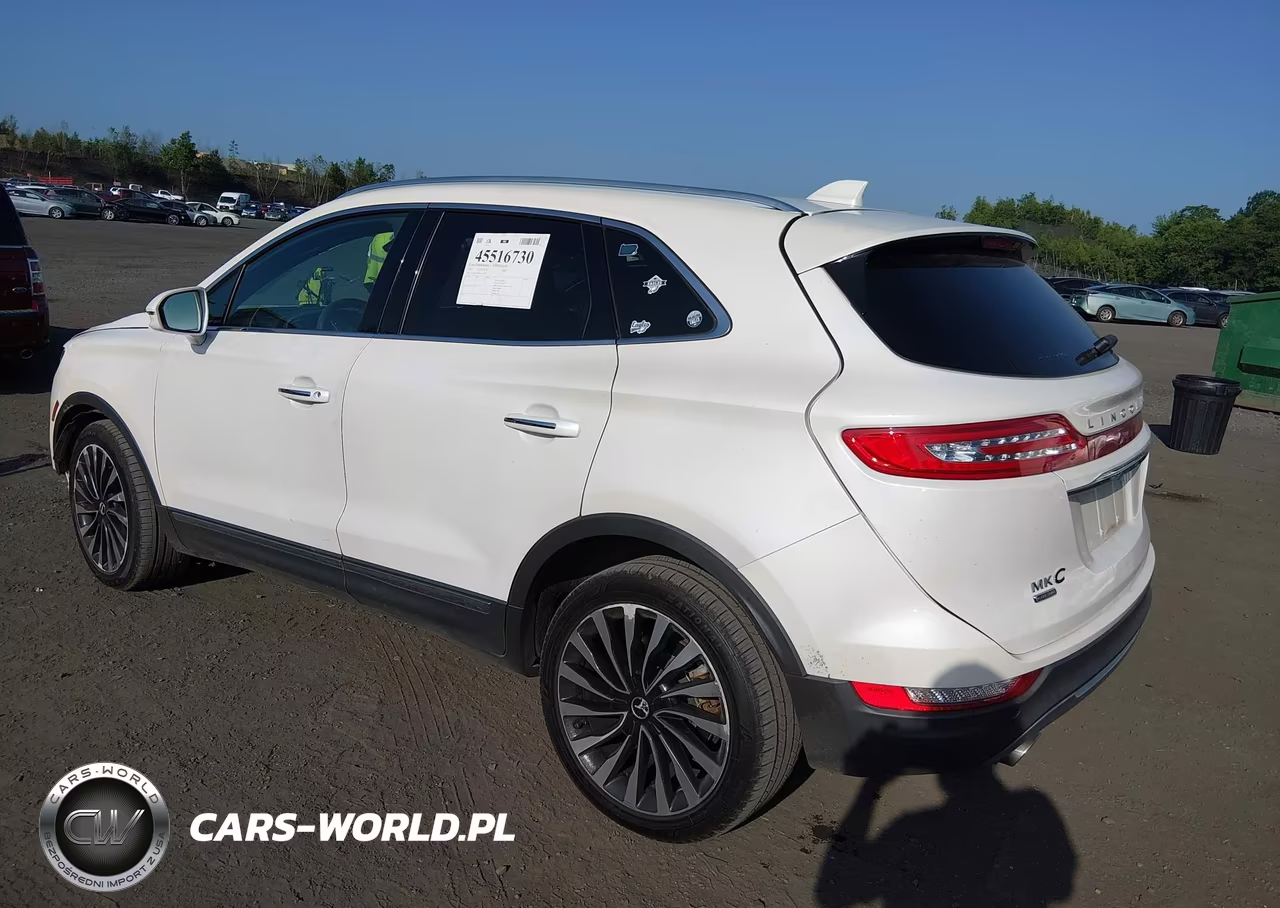 2019 Lincoln Mkc Black Label VIN:5LMCJ4D91KUL16375 - 3