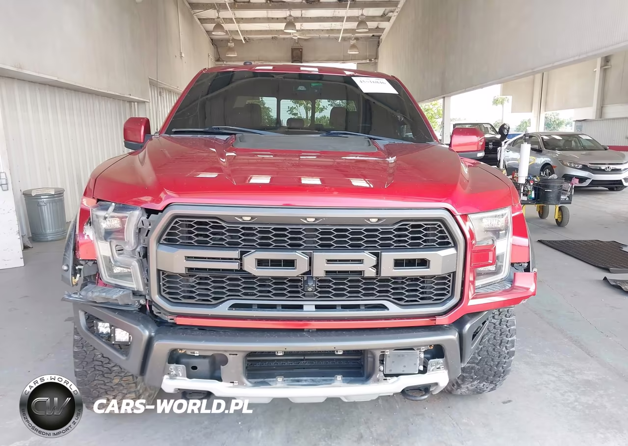 2018 Ford F-150 Raptor VIN:1FTFW1RG4JFB95274 - 12