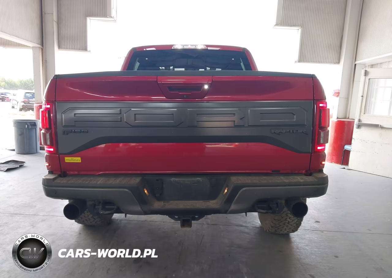 2018 Ford F-150 Raptor VIN:1FTFW1RG4JFB95274 - 16