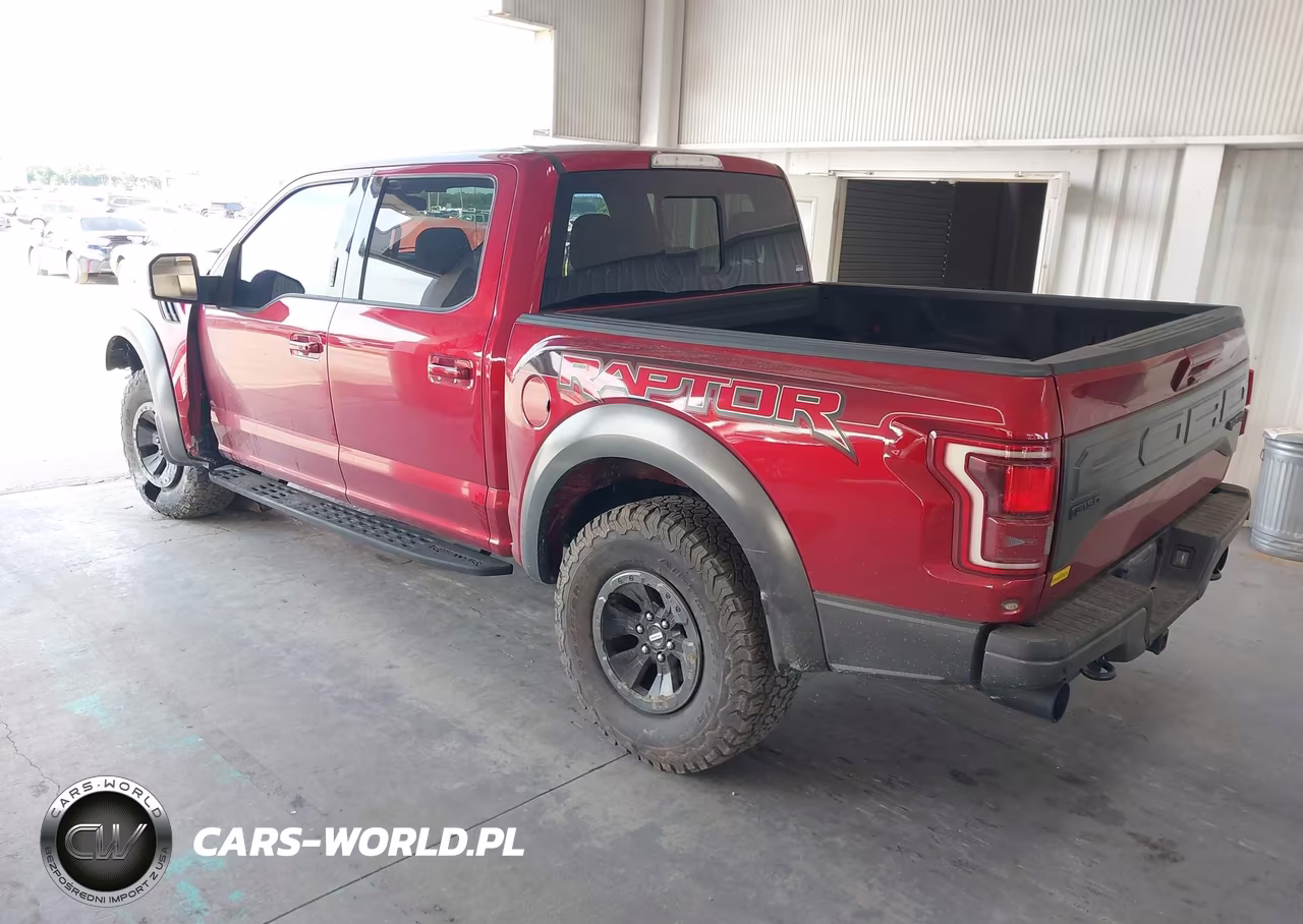 2018 Ford F-150 Raptor VIN:1FTFW1RG4JFB95274 - 3