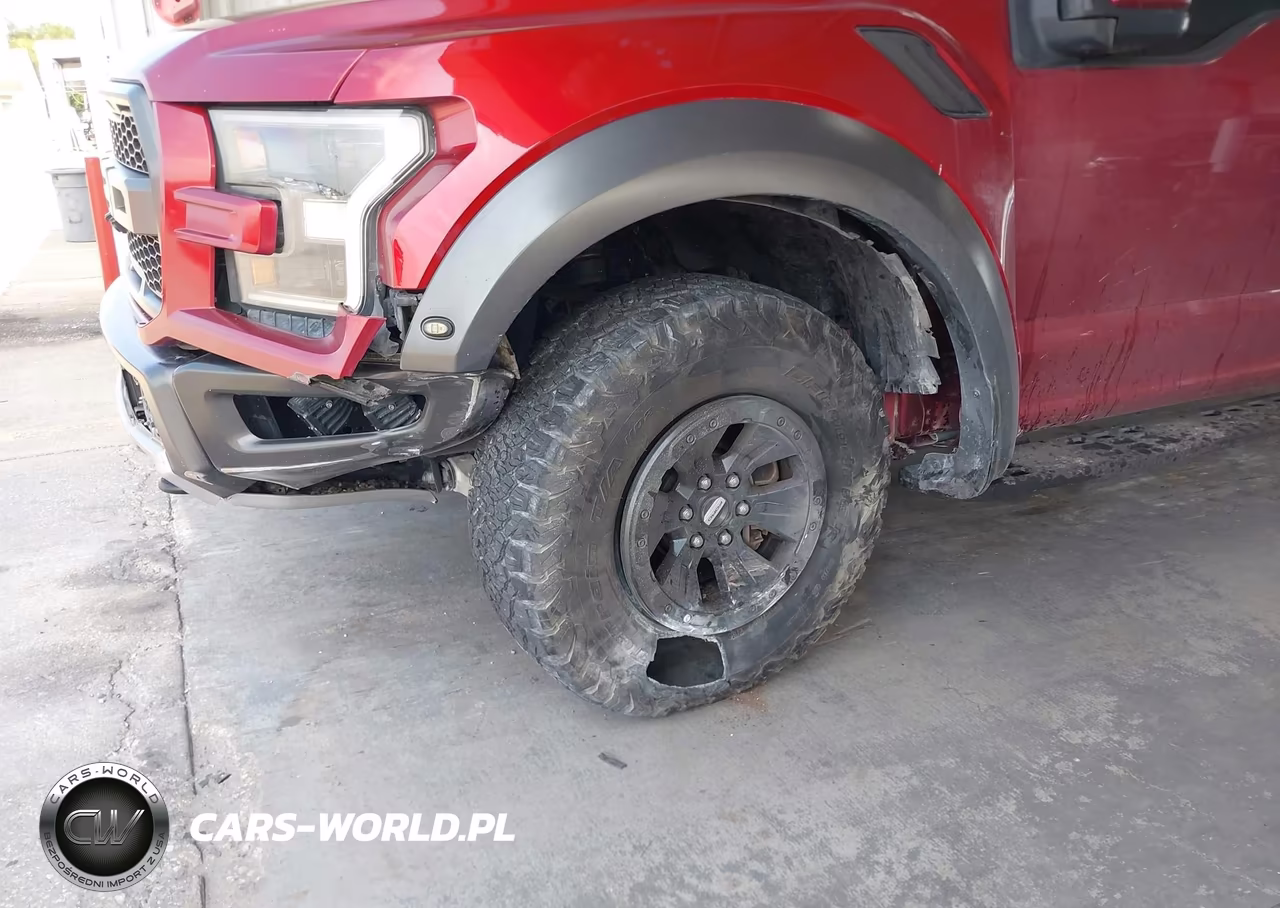 2018 Ford F-150 Raptor VIN:1FTFW1RG4JFB95274 - 6
