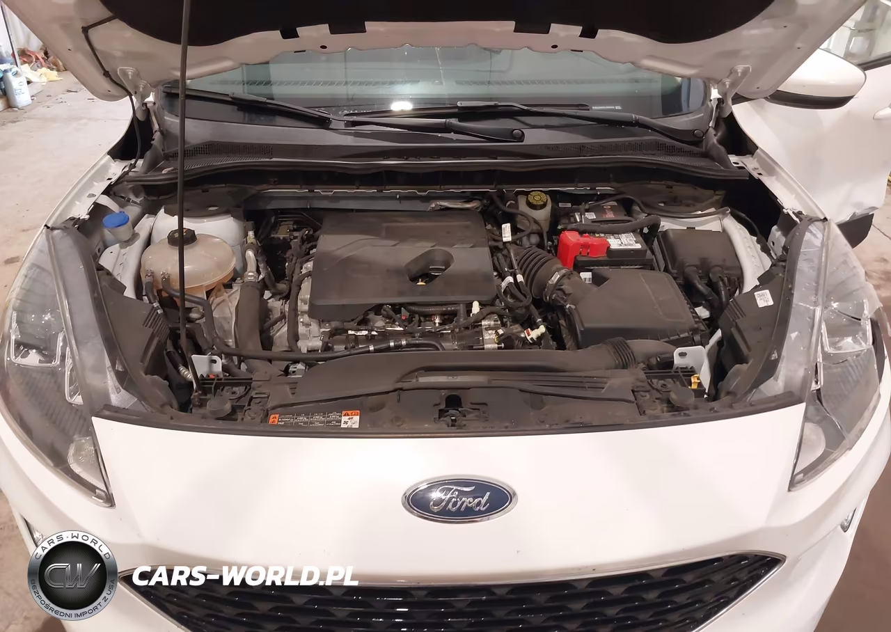 2020 Ford Escape Sel VIN:1FMCU0H60LUB05463 - 10