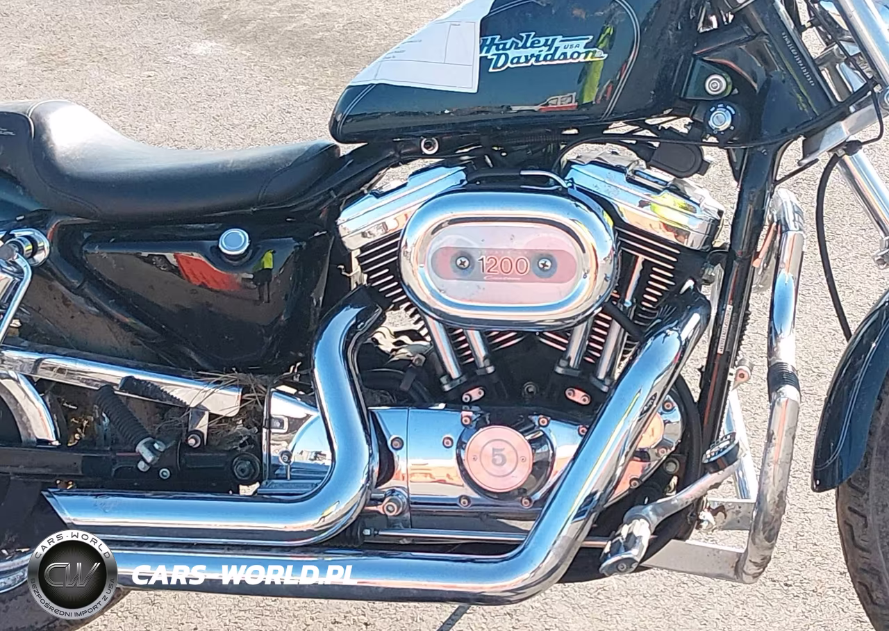 2002 Harley-Davidson Xl1200 C VIN:1HD1CGP122K131634 - 8