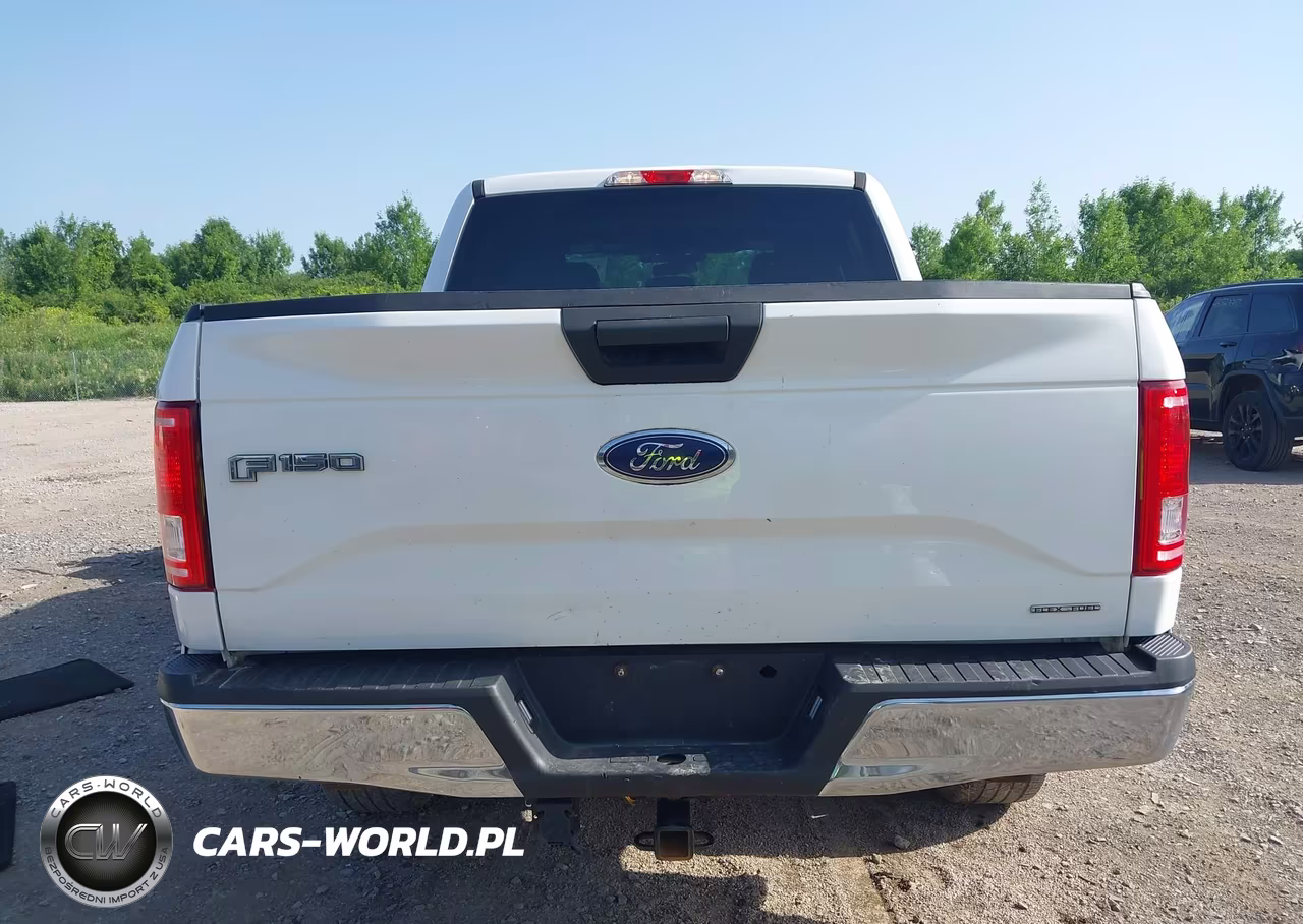 2016 Ford F-150 King Ranch-Lariat-Platinum-Xl-Xlt VIN:1FTEW1EF9GFB13007 - 17