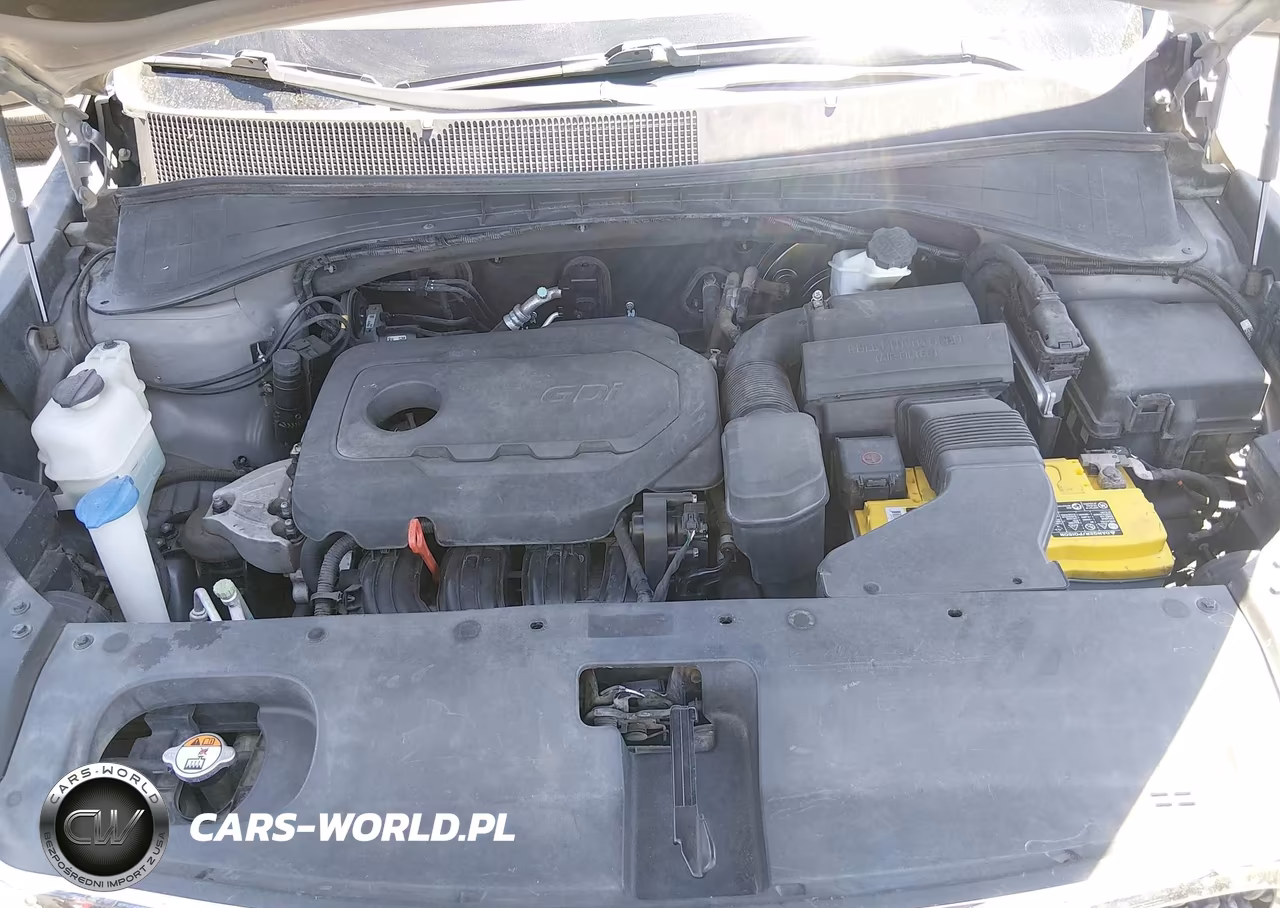 2016 Kia Sorento 2.4L L VIN:5XYPG4A34GG186589 - 10