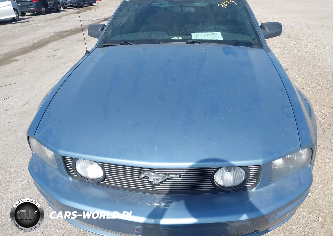 2005 Ford Mustang Gt Deluxe-Gt Premium VIN:1ZVHT82H255175627 - 6