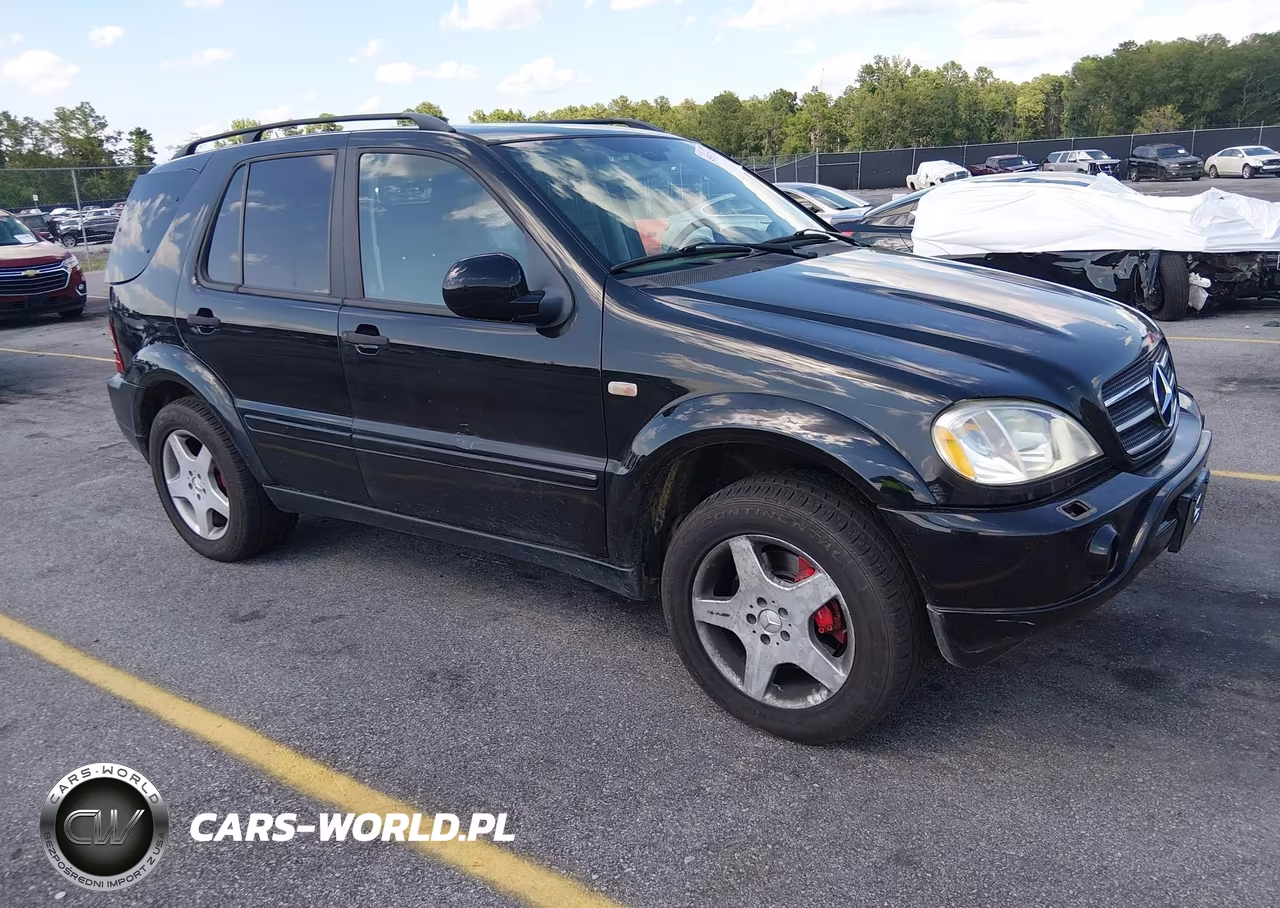 2001 Mercedes-Benz Ml 55 Amg
