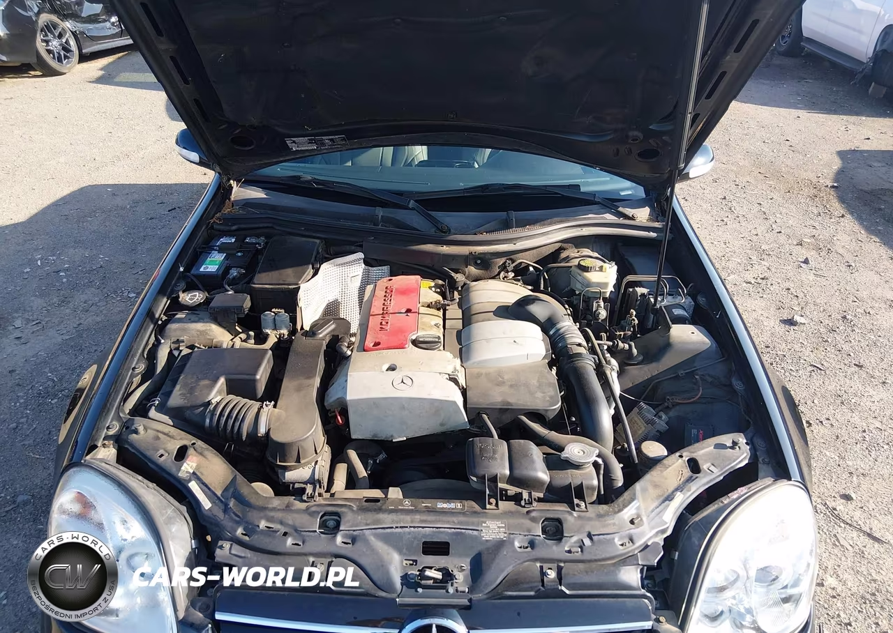 2002 Mercedes-Benz Slk 230 Kompressor VIN:WDBKK49F82F237982 - 10