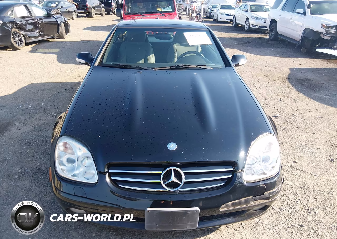 2002 Mercedes-Benz Slk 230 Kompressor VIN:WDBKK49F82F237982 - 13