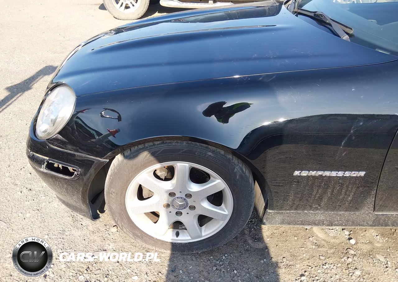 2002 Mercedes-Benz Slk 230 Kompressor VIN:WDBKK49F82F237982 - 19