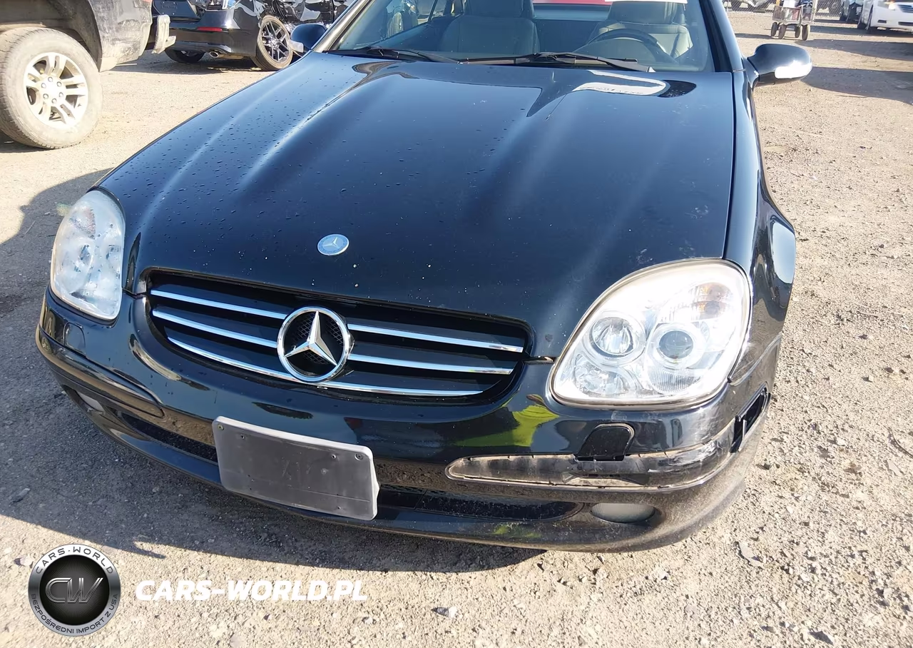 2002 Mercedes-Benz Slk 230 Kompressor VIN:WDBKK49F82F237982 - 6