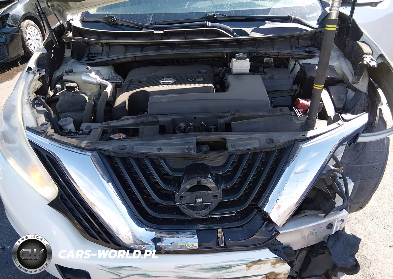 2016 Nissan Murano Platinum VIN:5N1AZ2MH6GN169809 - 10