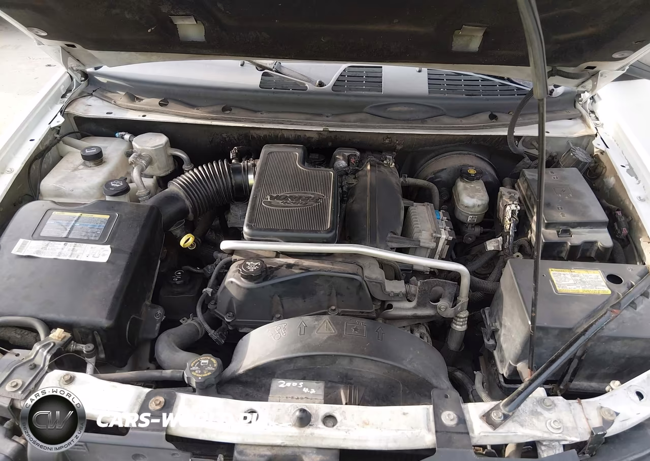 2005 Chevrolet Trailblazer Ls VIN:1GNDS13SX52353024 - 10