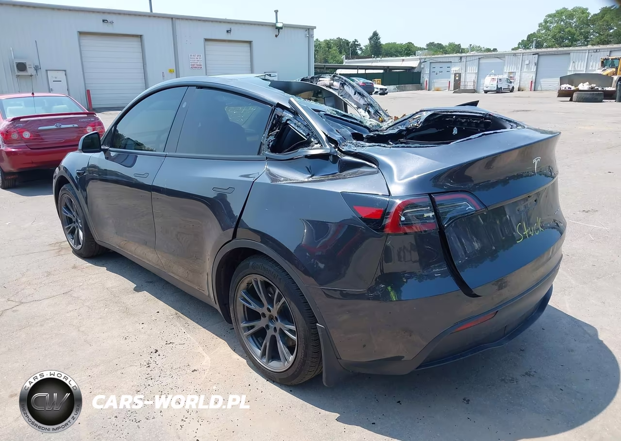 2025 Tesla Model Y Long Range Dual Motor All-Wheel Drive VIN:7SAYGDEE5SF284744 - 3