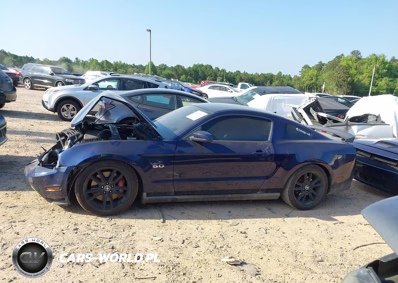2011 Ford Mustang Gt Premium VIN:1ZVBP8CF5B5110273 - 14