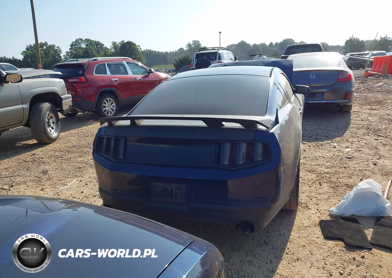 2011 Ford Mustang Gt Premium VIN:1ZVBP8CF5B5110273 - 16