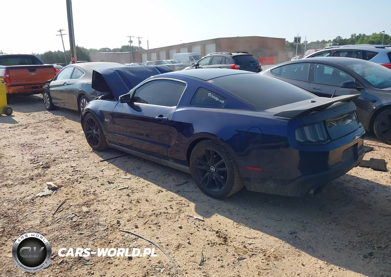 2011 Ford Mustang Gt Premium VIN:1ZVBP8CF5B5110273 - 3