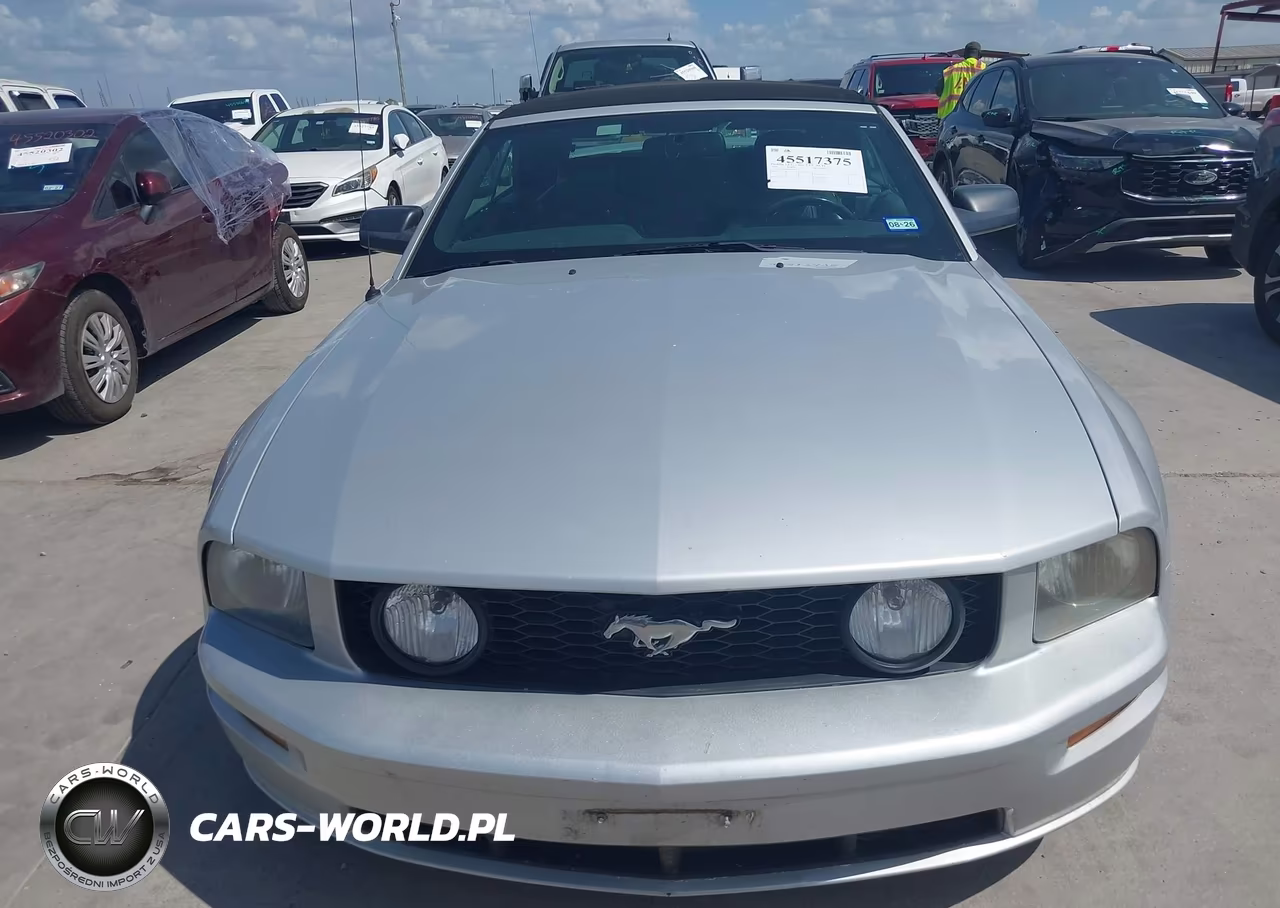 2008 Ford Mustang Gt Deluxe-Gt Premium VIN:1ZVHT85H685122249 - 12