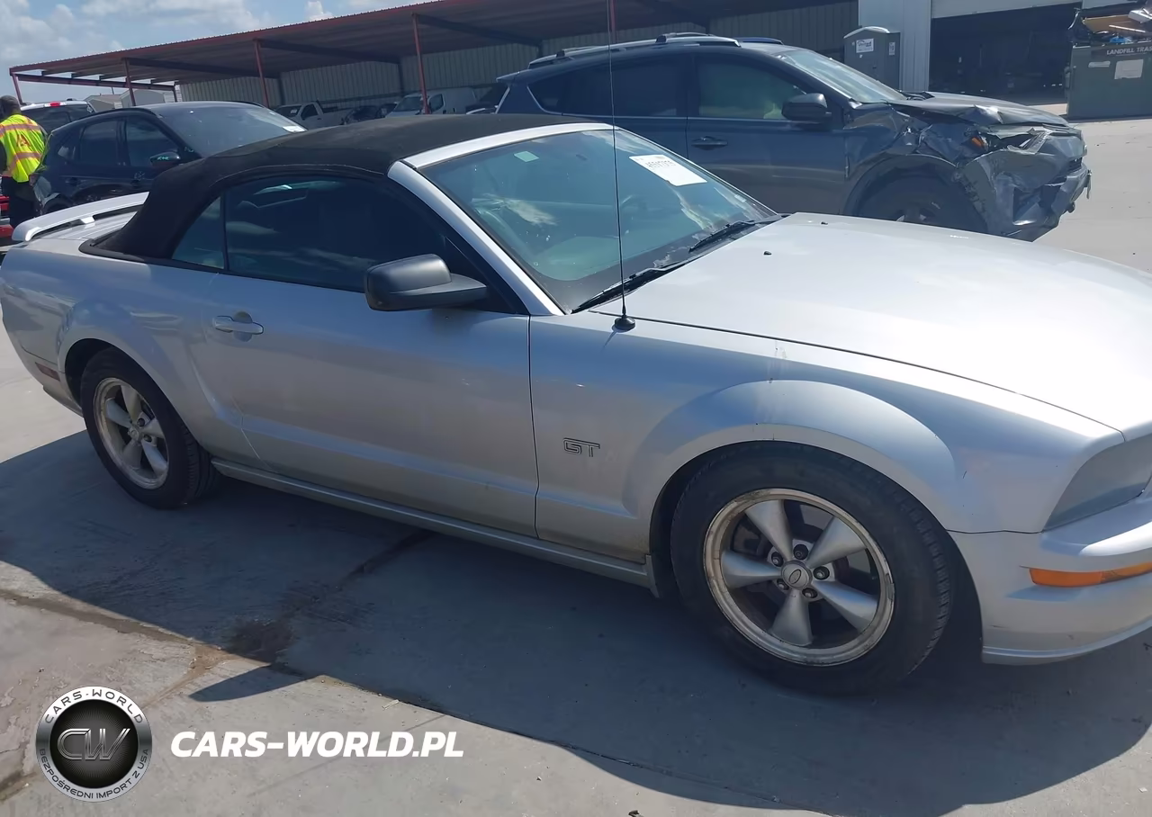 2008 Ford Mustang Gt Deluxe-Gt Premium VIN:1ZVHT85H685122249 - 13