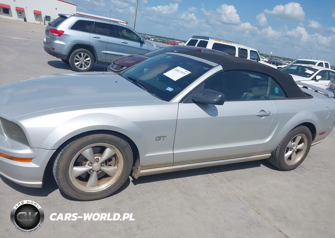 2008 Ford Mustang Gt Deluxe-Gt Premium VIN:1ZVHT85H685122249 - 14