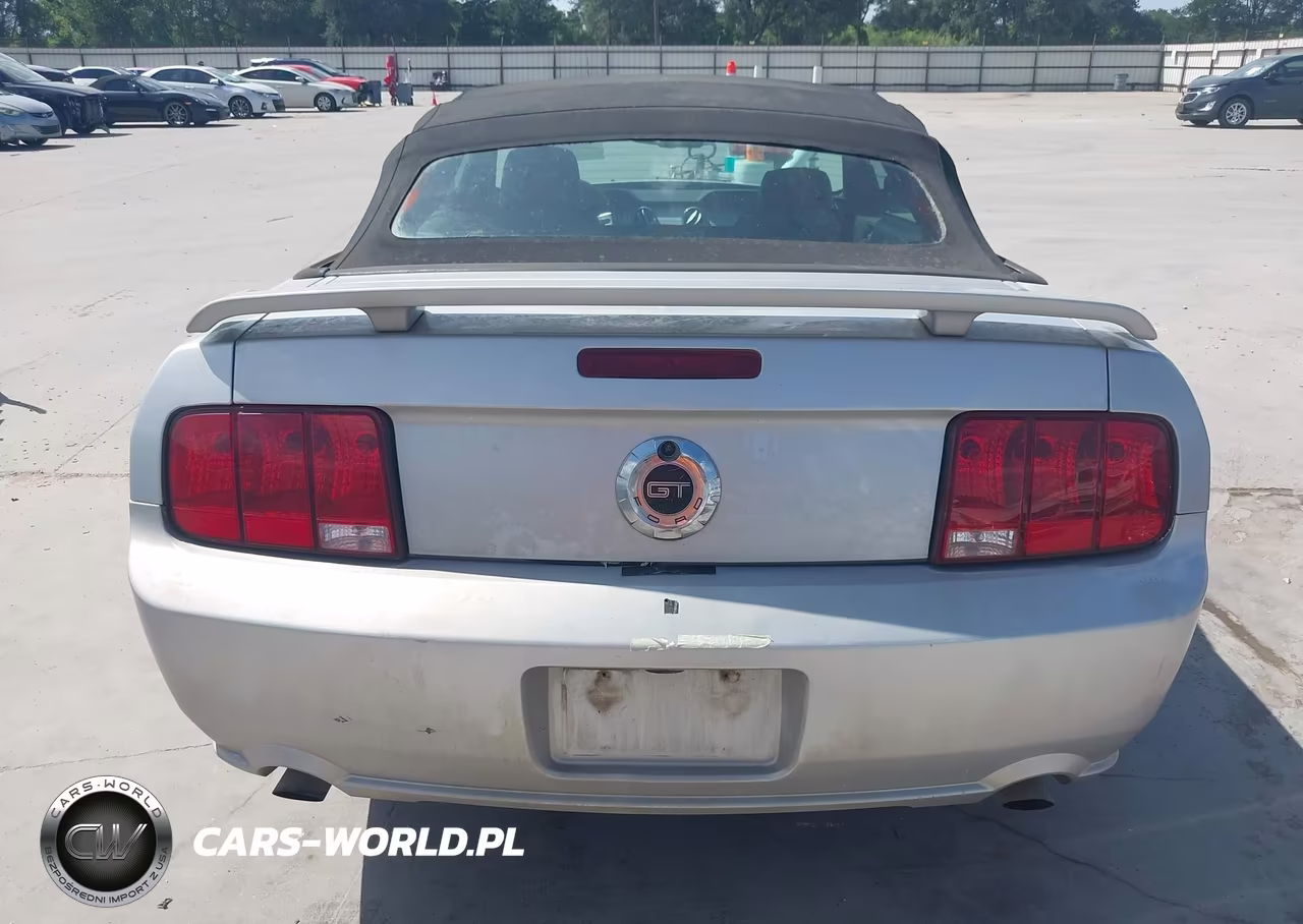 2008 Ford Mustang Gt Deluxe-Gt Premium VIN:1ZVHT85H685122249 - 16