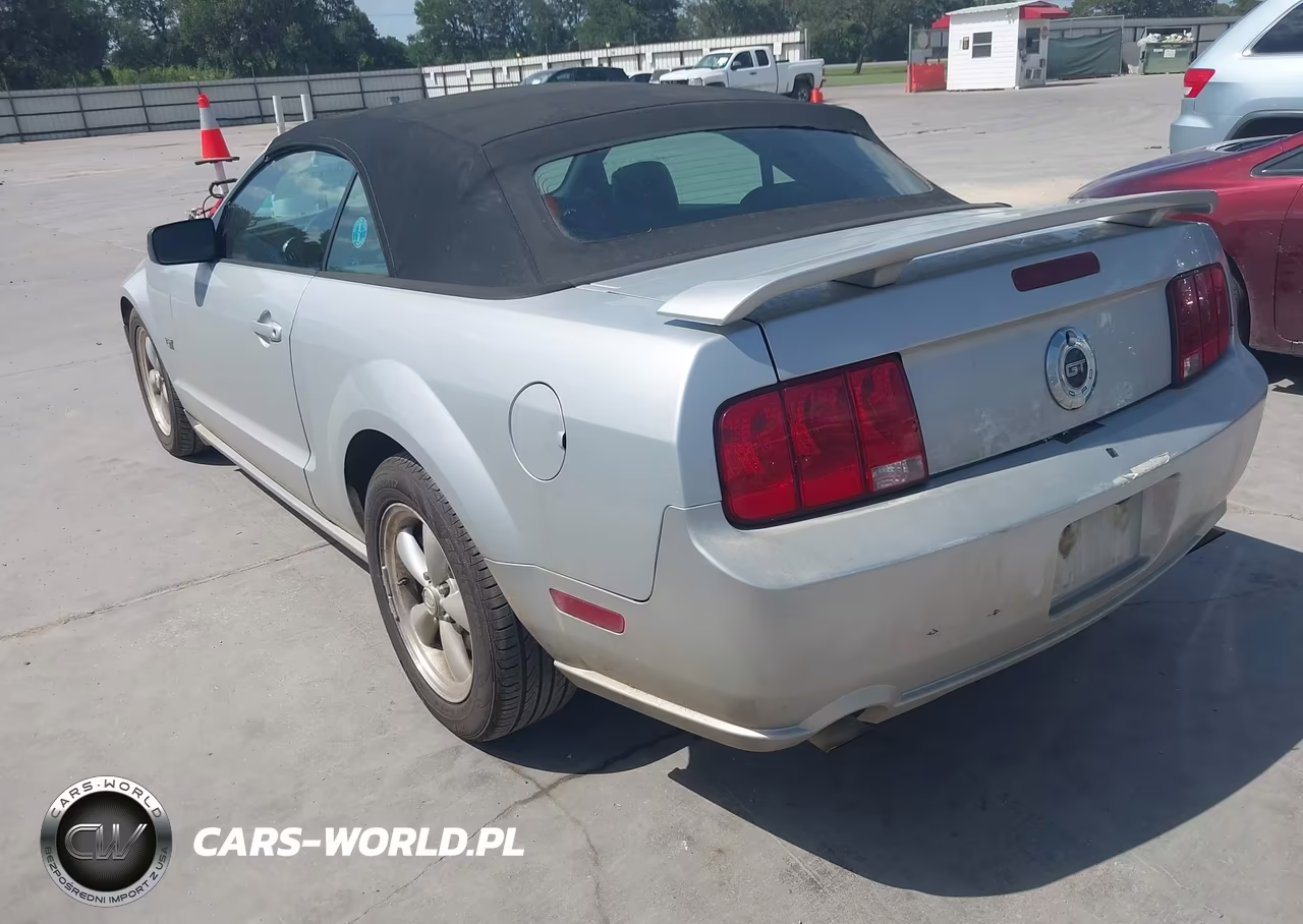 2008 Ford Mustang Gt Deluxe-Gt Premium VIN:1ZVHT85H685122249 - 3