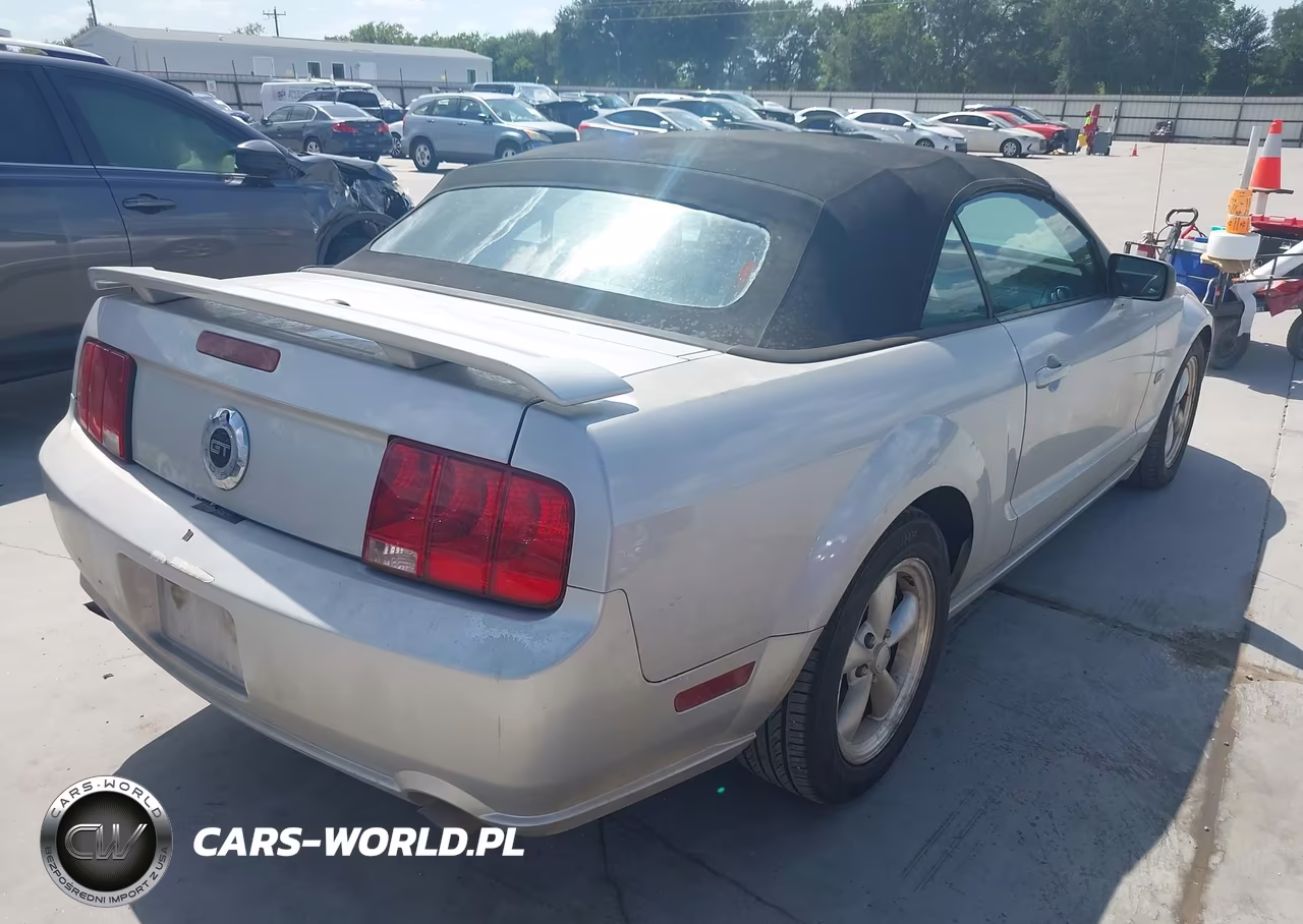 2008 Ford Mustang Gt Deluxe-Gt Premium VIN:1ZVHT85H685122249 - 4