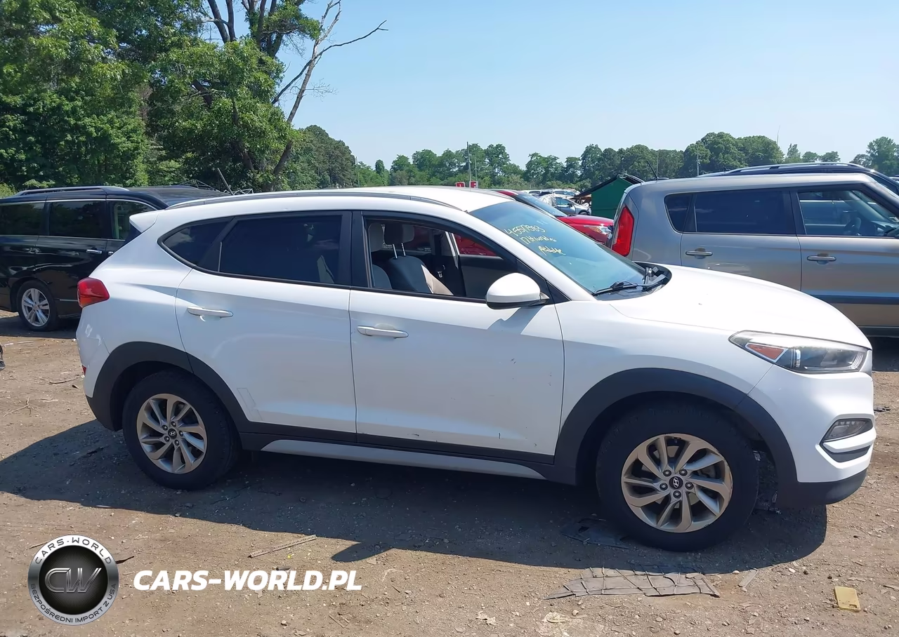 2017 Hyundai Tucson Se VIN:KM8J3CA45HU443890 - 13
