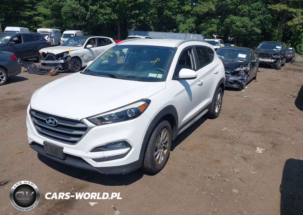 2017 Hyundai Tucson Se VIN:KM8J3CA45HU443890 - 2