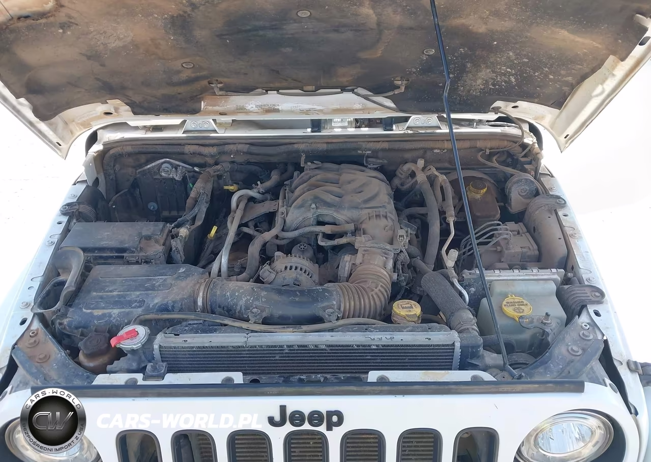 2017 Jeep Wrangler Unlimited Winter 4X4 VIN:1C4BJWEG0HL608223 - 10