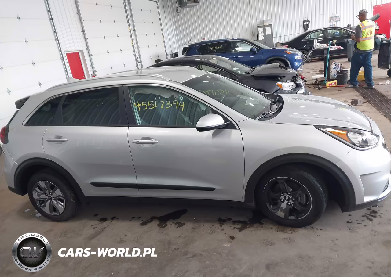 2019 Kia Niro Lx VIN:KNDCB3LC6K5250301 - 13