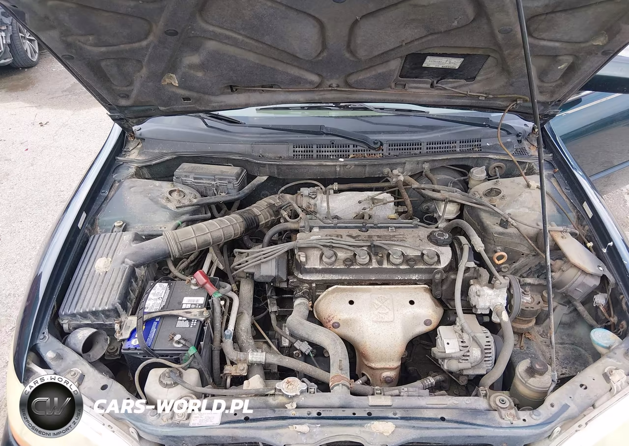 1998 Honda Accord Lx VIN:1HGCG5541WA089633 - 10