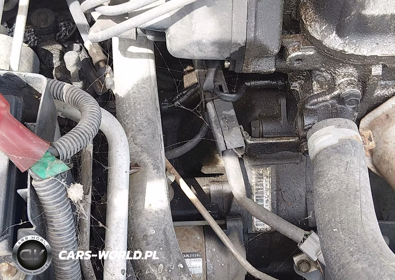 1998 Honda Accord Lx VIN:1HGCG5541WA089633 - 6