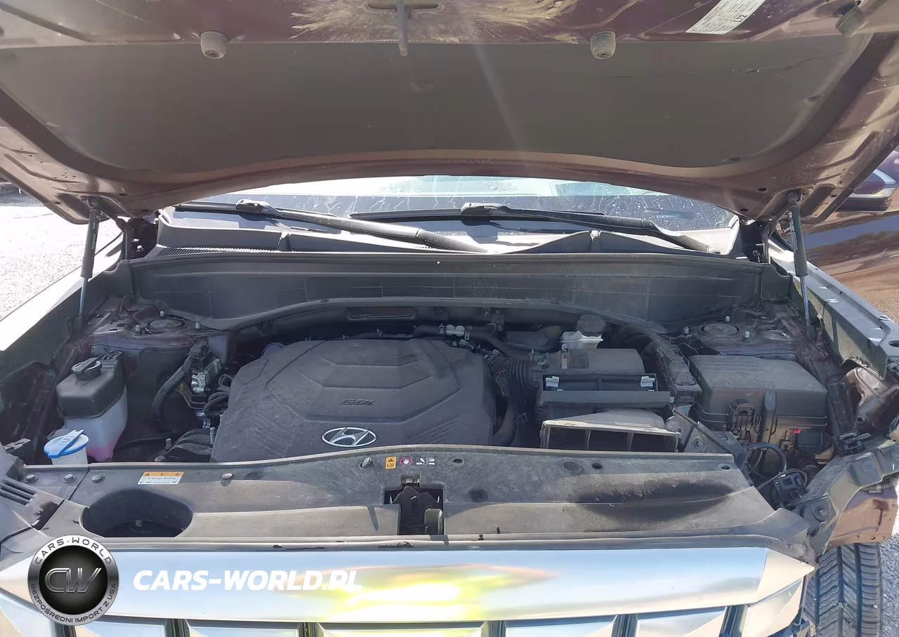 2023 Hyundai Palisade Calligraphy VIN:KM8R7DGE5PU567623 - 10